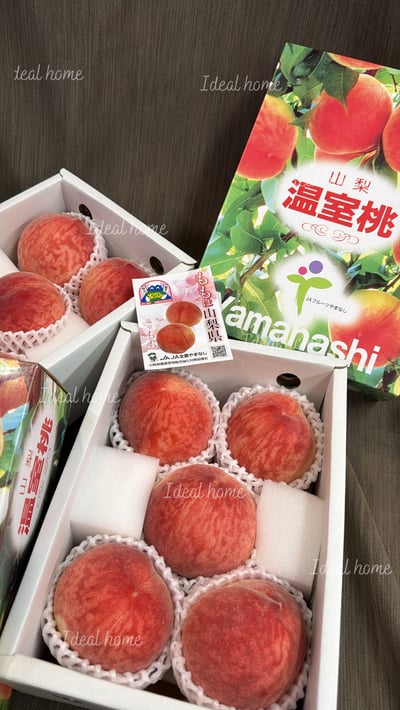 日本山梨溫室桃1