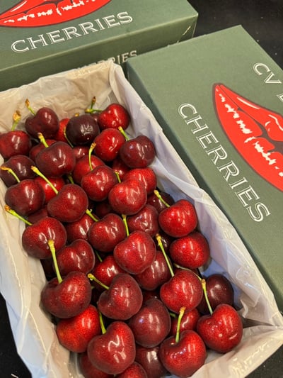 紐西蘭大嘴巴櫻桃3