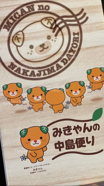 日本套袋(卡通)蜜柑2