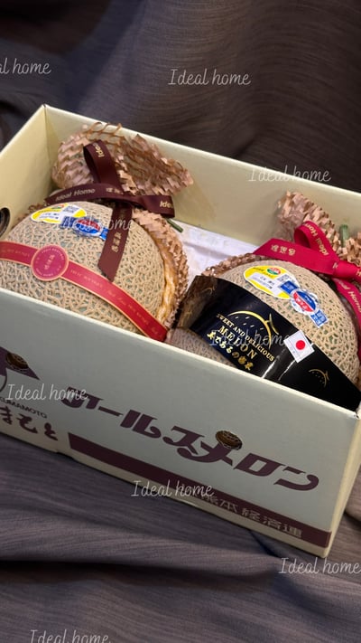 日本溫室哈密瓜16