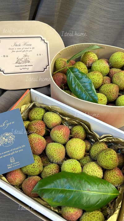 頂級玉荷包荔枝禮盒9