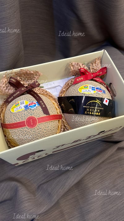 日本溫室哈密瓜1