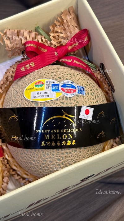 日本溫室哈密瓜5