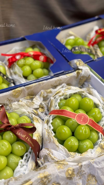 韓國麝香葡萄13