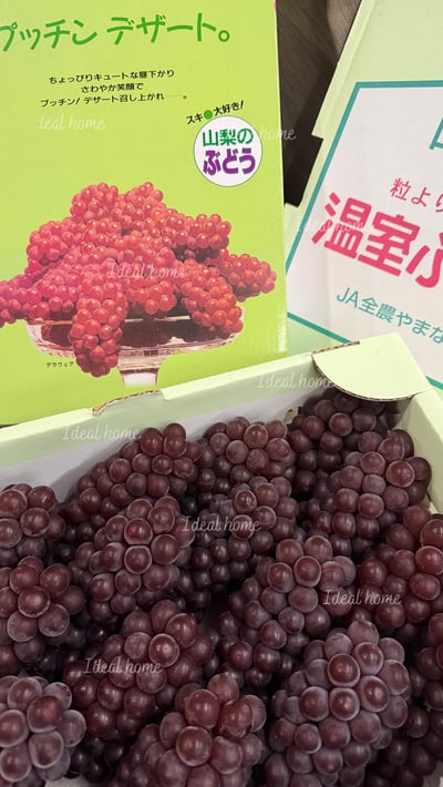 日本珍珠葡萄3