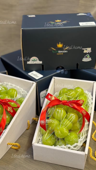 韓國麝香葡萄16