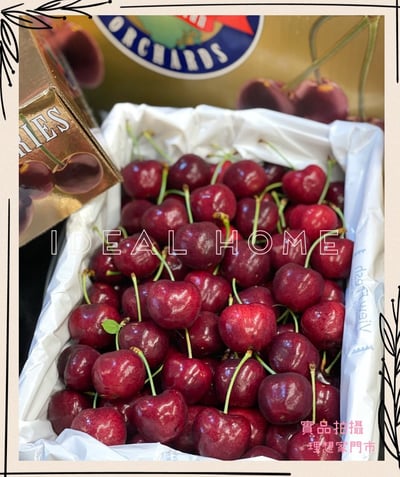 澳洲櫻桃10