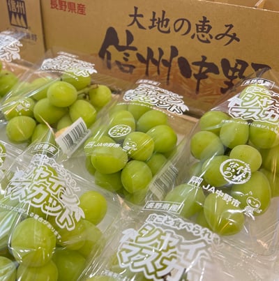 日本麝香葡萄17