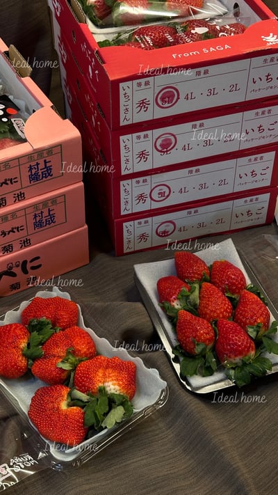 日本草莓◆佐賀/長崎/靜岡/熊本◆20