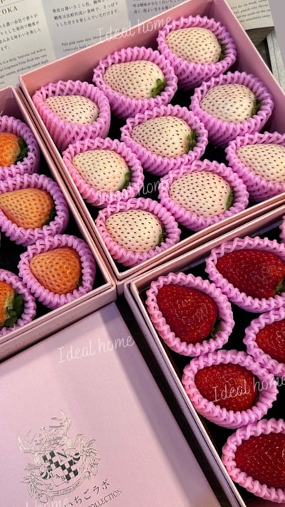 日本天皇草莓(三種混搭)4