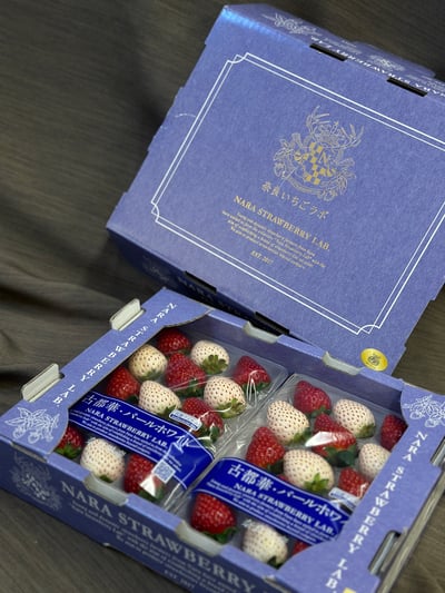 日本雙色草莓3