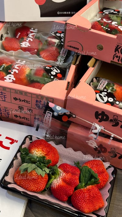 日本草莓◆佐賀/長崎/靜岡/熊本◆2