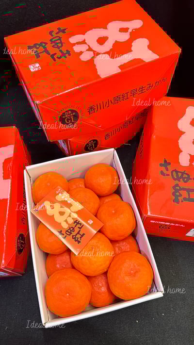 日本香川小原紅蜜柑4