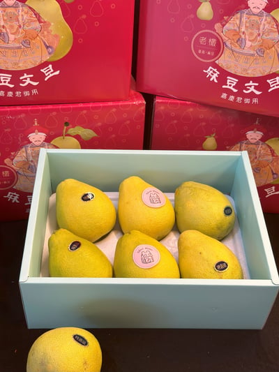 麻豆老欉文旦7
