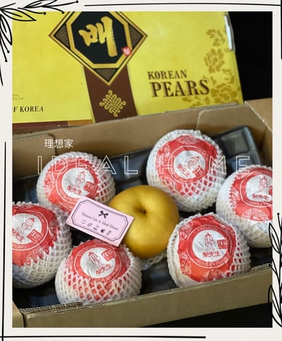 韓國進口水梨4
