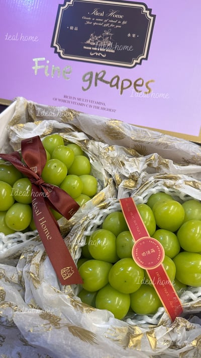 韓國麝香葡萄10