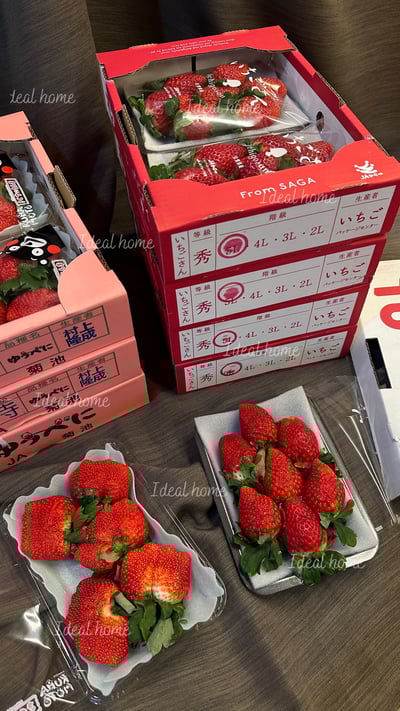 日本草莓◆佐賀/長崎/靜岡/熊本◆19