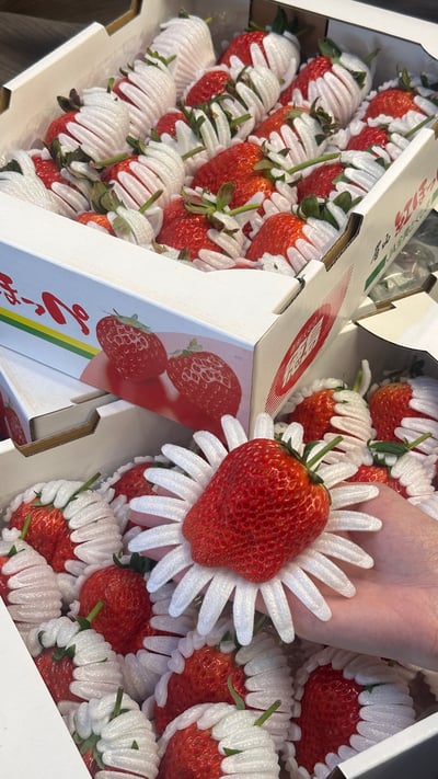 日本德島〔勝占/眉山〕糖蜜草莓8