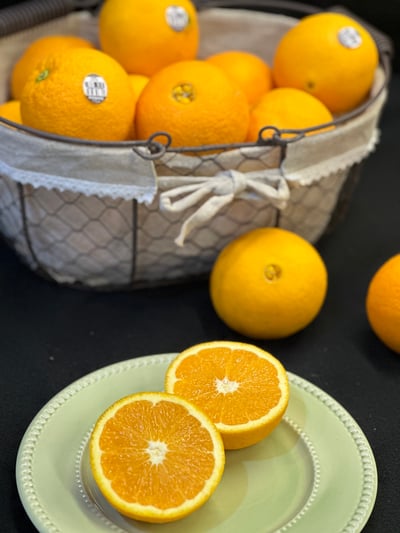 美國加州肚臍丁(壽康丁)6