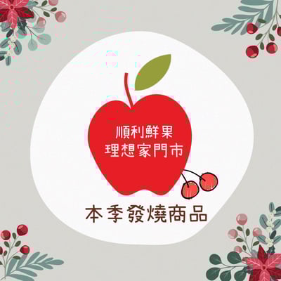 日本市田柿柿餅8