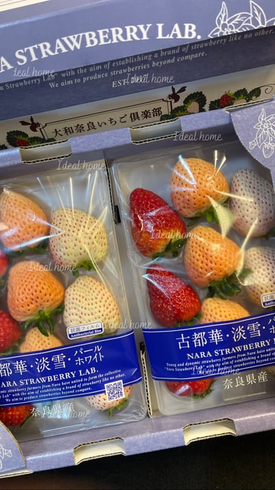 日本三色草莓(三種混搭)6