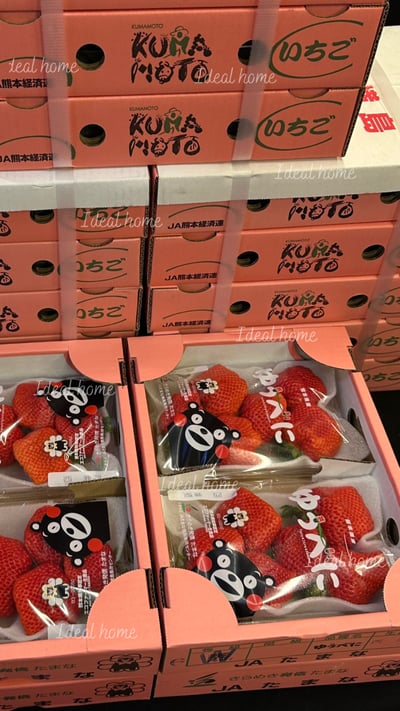 日本草莓◆佐賀/長崎/靜岡/熊本◆23