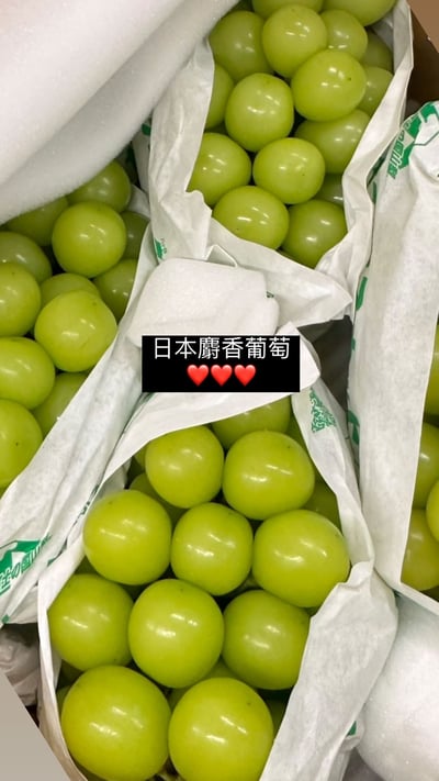 日本麝香葡萄7