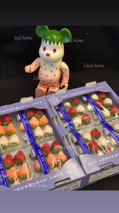 日本三色草莓(三種混搭)9