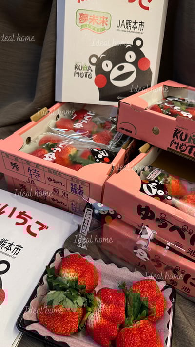 日本草莓◆佐賀/長崎/靜岡/熊本◆6