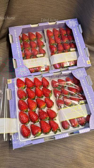 日本古都華草莓6