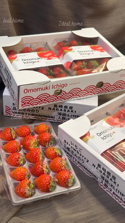 日本草莓◆佐賀/長崎/靜岡/熊本◆16