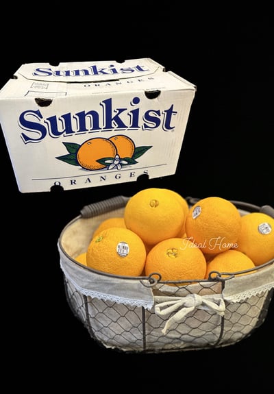 美國加州肚臍丁(壽康丁)5