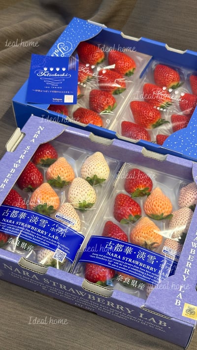 日本三色草莓(三種混搭)11