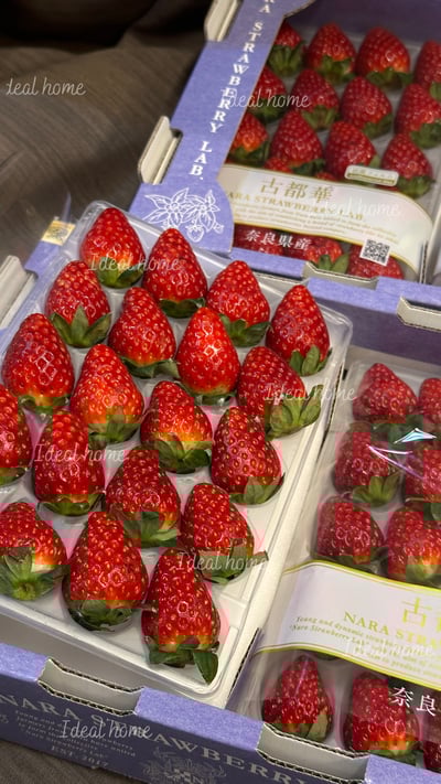 日本古都華草莓7