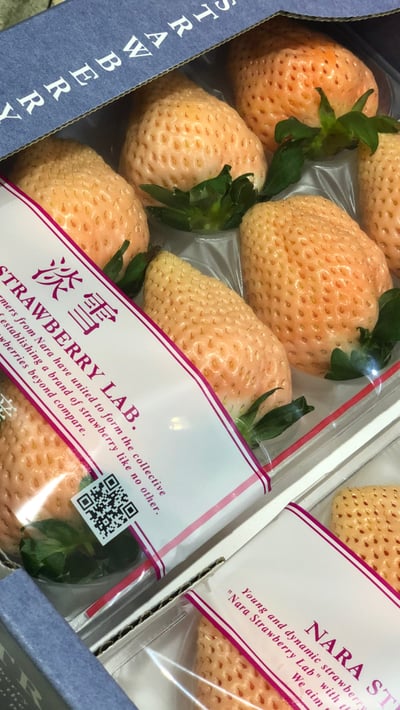 日本淡雪草莓「預購商品排單出貨」1