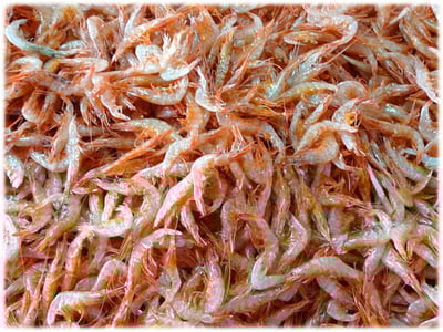 中蝦(乾貨-料理用)3