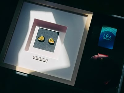 預購 台灣 Rossi&Wing x LUA 「Celestian - 神選的雙生靈魂」 穹聲全頻動圈入耳式耳機 CM 0.78 耳道式13