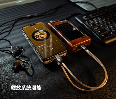 Luxury & Precision(精奢樂彼) WY1 小尾巴獨立供電線 雙TYPE C OTG USB DAC 線 小尾巴 升級線5