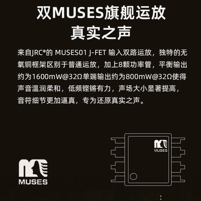 弱水時砂 Rose technics RT-5000 USB DAC 耳機擴大機5