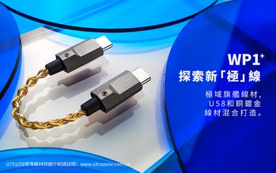 Luxury & Precision(精奢樂彼) WP1+ Lightning / Type C USB DAC 小尾巴 升級線2