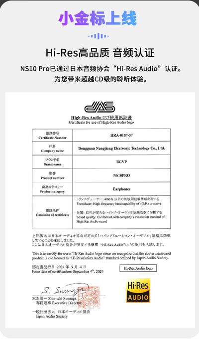 BGVP NS10 Pro 兩圈八鐵圈鐵混合HiFi 入耳式耳機 耳道 MMCX12