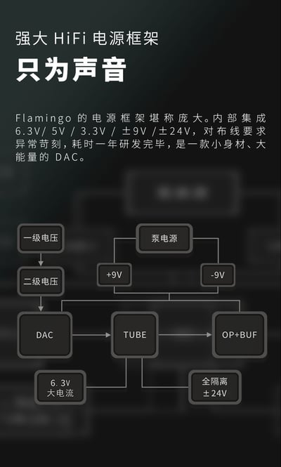 志達電子 AUNE Flamingo 一般版/藍牙版 火烈鳥 真空管 USB DAC 耳機擴大機/前級擴大機8