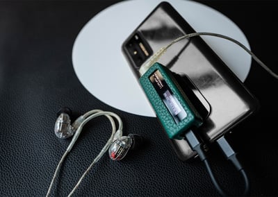 精奢樂彼 Luxury & Precision W系列專用皮革保護套 W1 / W2 適用7