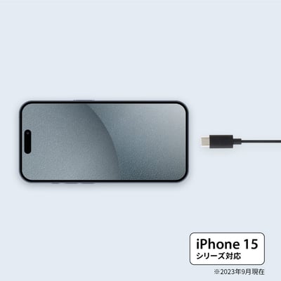 日本 Radius HP-NEL21C 耳道式耳機 入耳式 USB-C iPhone15適用2