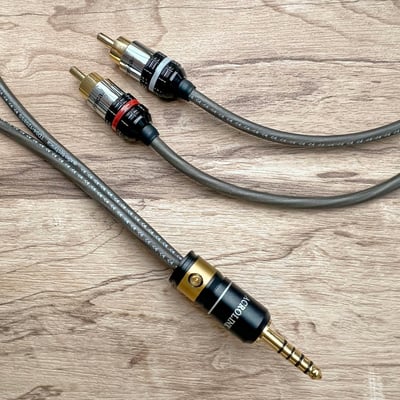 大力揚 Power Praise x Audio-Technica 破曉 Dawn CAB208 4.4mm to RCA 高階訊號升級線 | 均衡耐聽好搭配2