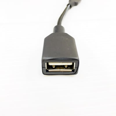 大力揚 Power Praise × Audio-Technica DL039 Type-C OTG 公→ USB-A 母 DAC專用短線 (10cm)2