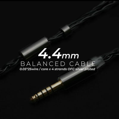 TANGZU 唐族 FUDO 杜甫 耳道式耳機 入耳 CM 0.785