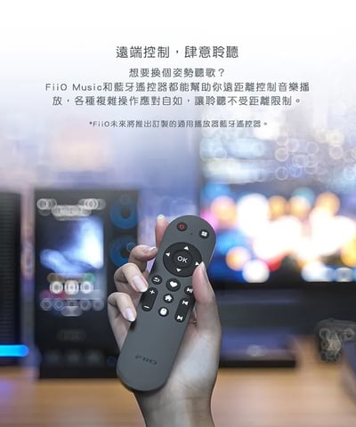 Fiio R7 桌上型音樂解碼播放器10