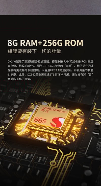 iBasso DX340 分立元件PWM-DAC旗艦音頻播放器 旗艦革芯 雙控雙電14