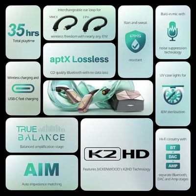 【iFi Audio GO pod Max｜aptX Lossless 無線 Hi-Fi 旗艦級耳掛模組】8